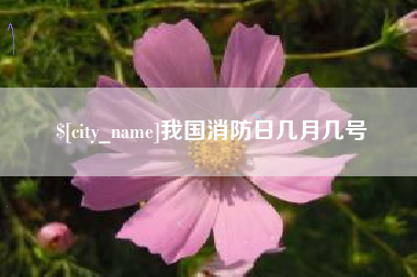 桂林我国消防日几月几号