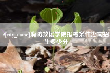 桂林消防救援学院报考条件湖南招生多少分