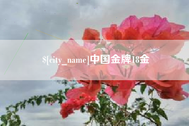 桂林中国金牌18金