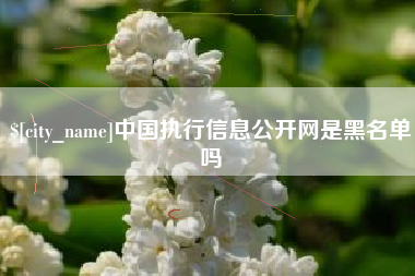 桂林中国执行信息公开网是黑名单吗