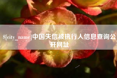 桂林中国失信被执行人信息查询公开网址