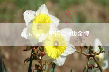 桂林奥运会39块金牌