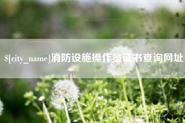 桂林消防设施操作员证书查询网址