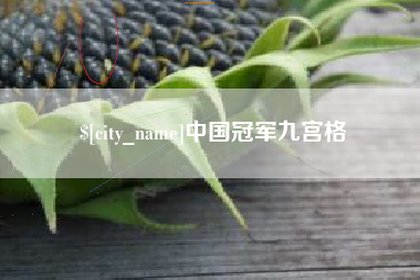 桂林中国冠军九宫格