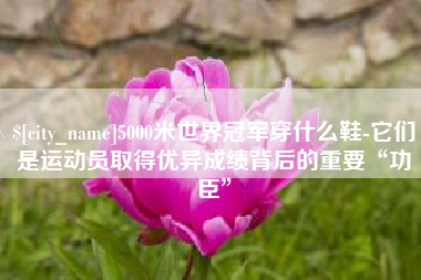 桂林5000米世界冠军穿什么鞋-它们是运动员取得优异成绩背后的重要“功臣”