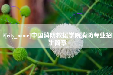 桂林中国消防救援学院消防专业招生简章