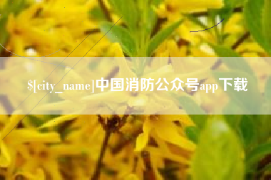 桂林中国消防公众号app下载