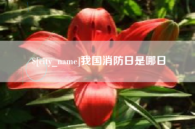 桂林我国消防日是哪日