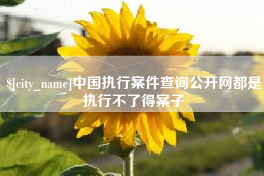 桂林中国执行案件查询公开网都是执行不了得案子