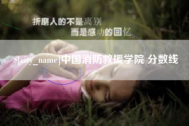 桂林中国消防救援学院 分数线