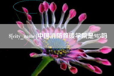 桂林中国消防救援学院是985吗