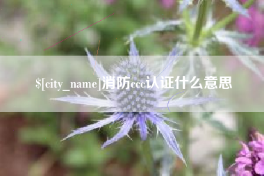 桂林消防ccc认证什么意思