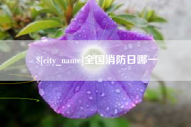 桂林全国消防日哪一