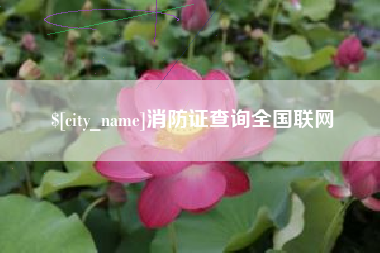 桂林消防证查询全国联网