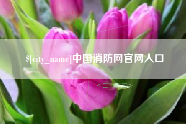 桂林中国消防网官网入口
