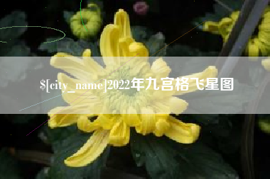 桂林2022年九宫格飞星图
