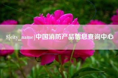 桂林中国消防产品信息查询中心