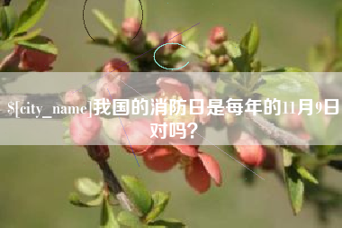 桂林我国的消防日是每年的11月9日对吗？