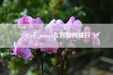 桂林九宫如何排日