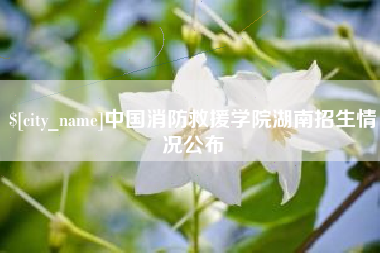 桂林中国消防救援学院湖南招生情况公布