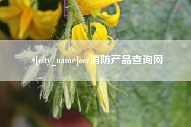 桂林ccc消防产品查询网
