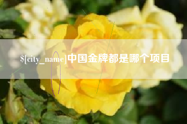 桂林中国金牌都是哪个项目
