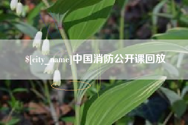 桂林中国消防公开课回放