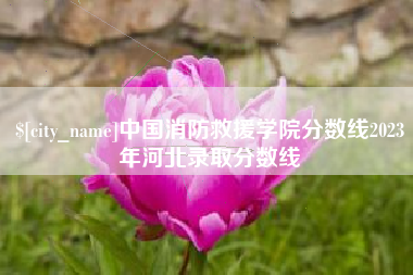桂林中国消防救援学院分数线2023年河北录取分数线