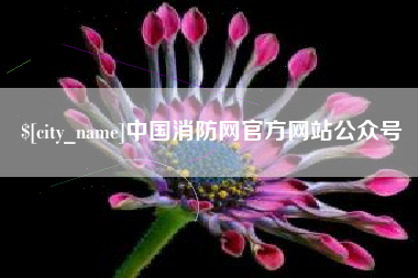 桂林中国消防网官方网站公众号