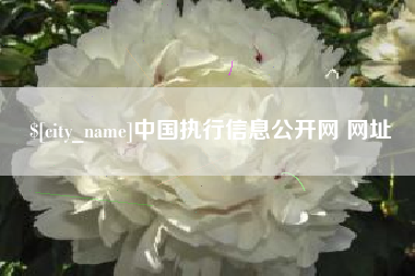 桂林中国执行信息公开网 网址