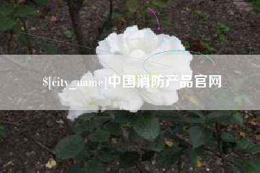 桂林中国消防产品官网