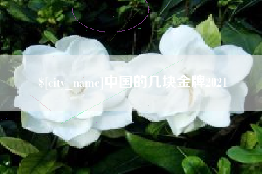 桂林中国的几块金牌2021