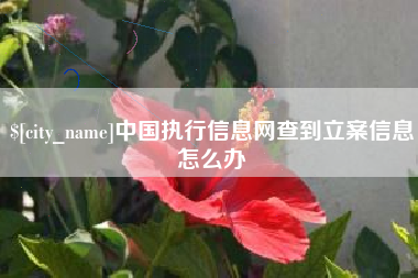 桂林中国执行信息网查到立案信息怎么办