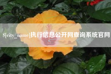 桂林执行信息公开网查询系统官网