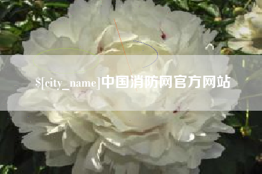 桂林中国消防网官方网站