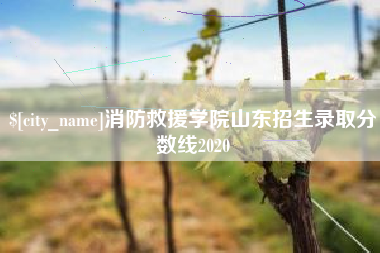 桂林消防救援学院山东招生录取分数线2020