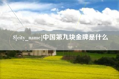 桂林中国第九块金牌是什么