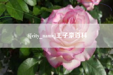 桂林王子豪百科