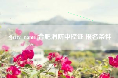 桂林合肥消防中控证 报名条件
