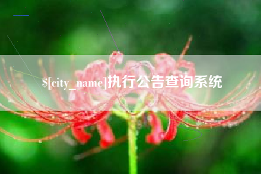 桂林执行公告查询系统