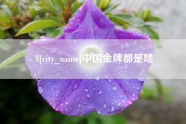 桂林中国金牌都是啥