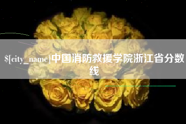 桂林中国消防救援学院浙江省分数线