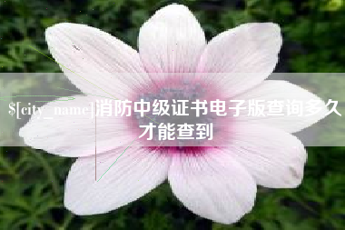 桂林消防中级证书电子版查询多久才能查到