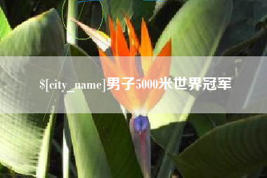桂林男子5000米世界冠军