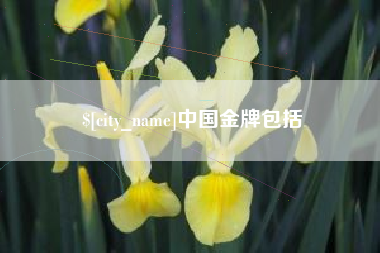桂林中国金牌包括