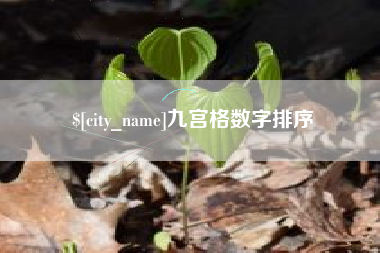 桂林九宫格数字排序