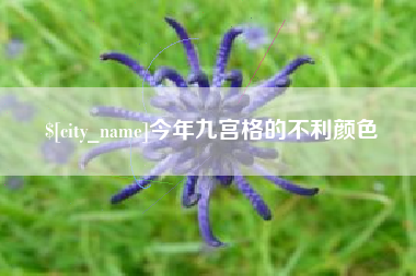 桂林今年九宫格的不利颜色