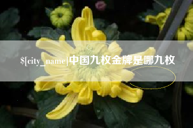 桂林中国九枚金牌是哪九枚