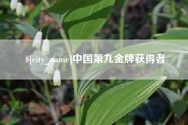 桂林中国第九金牌获得者