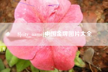 桂林中国金牌图片大全